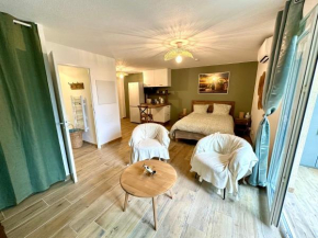 Studio spacieux Libourne